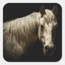 Recherche de photo de cheval autocollants Chevaux