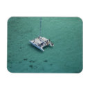 Recherche de catamaran magnets Bateau