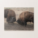 Recherche de bison puzzles Buffle
