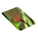 Recherche de peinture acrylique magnets Nature