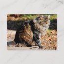 Recherche de glande cartes visite Chute