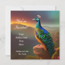 Recherche de beau paon invitations Nature