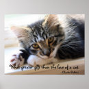 Recherche de chat rayé gris posters Chaton