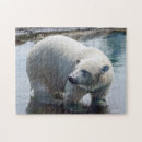 Recherche de ours blanc puzzles Arctique