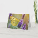 Zoek naar lavendel kaarten Pretty
