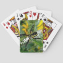 Recherche de araignée jeux de cartes Insecte