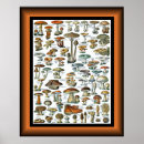 Recherche de adolphe millot posters Champignon