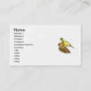 Recherche de pinsons Canari
