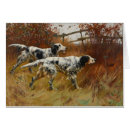 Recherche de chiens sportifs vœux cartes Animaux familiers