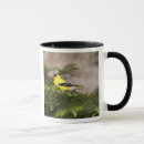 Recherche de tasse de café de chardonneret tasses Faune