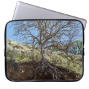 Recherche de racines coques Tronc d'arbre