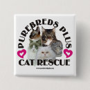 Recherche de races badges Chat
