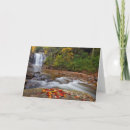 Recherche de ruisseau vœux cartes Tomber
