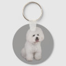 Recherche de chien de frise bichon porteclés Chiot