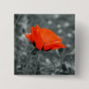 Recherche de coquelicot badges Floraison