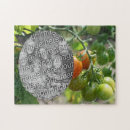 Recherche de tomate puzzles Jardin