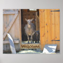 Recherche de chèvres posters Enfant