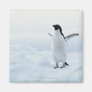 Recherche de équilibre magnets Animal