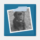 Recherche de propre conception magnets Personnalisation