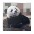 Recherche de panda carreaux Noir et blanc