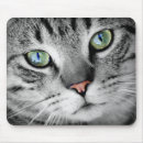 Recherche de fentes tapis souris Animaux