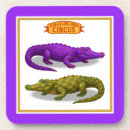 Recherche de alligators bar Crocodile