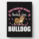 Recherche de loups plaques Chiot