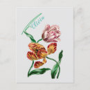 Zoek naar tulp vintage briefkaarten Antiek