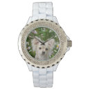 Recherche de de chiot montres Mignonette
