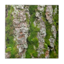 Recherche de pin carreaux Texture