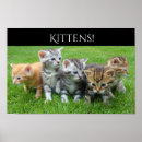 Recherche de petits chatons posters Pour enfants