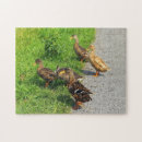 Recherche de canard puzzles Beau