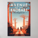 Recherche de madagascar Allée des baobabs
