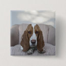 Recherche de basset hound badges Animal