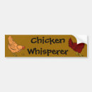 Recherche de poulets voiture autocollants Poules