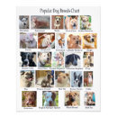 Recherche de race de chien posters Amoureux des chiens