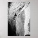 Recherche de oeil de cheval art Nature