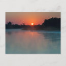 Recherche de pantanal cartes postales Jungle