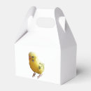 Recherche de oiseau jaune ballotins Amoureux des oiseaux