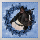 Recherche de noël de terrier posters Animal