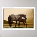 Recherche de poulain jument posters Animaux