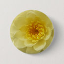 Zoek naar waterlelie buttons Bloem