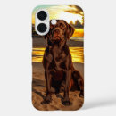 Recherche de labrador chocolat iphone coques Chiot