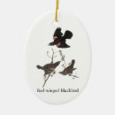 Recherche de audubon ornements John
