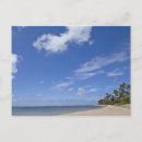 Recherche de hawaïenne cartes postales Bleu