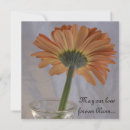 Recherche de de gerber mariage invitations Marguerite