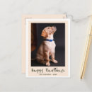 Recherche de pâques drôles posters Animal de compagnie
