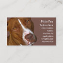 Recherche de pitbull cartes visite Taureau