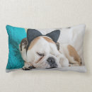 Recherche de somnolent coussins Sommeil
