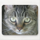 Recherche de visage tigre tapis souris Chat